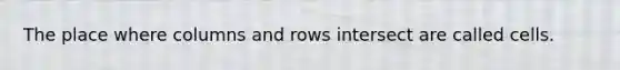 The place where columns and rows intersect are called cells.