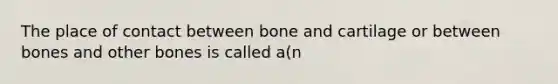 The place of contact between bone and cartilage or between bones and other bones is called a(n