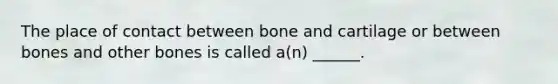 The place of contact between bone and cartilage or between bones and other bones is called a(n) ______.