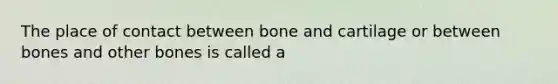 The place of contact between bone and cartilage or between bones and other bones is called a