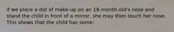 if we place a dot of make-up on an 18-month-old's nose and stand the child in front of a mirror, she may then touch her nose. This shows that the child has some: