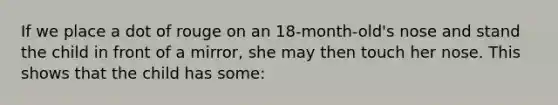 If we place a dot of rouge on an 18-month-old's nose and stand the child in front of a mirror, she may then touch her nose. This shows that the child has some: