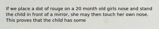 If we place a dot of rouge on a 20 month old girls nose and stand the child in front of a mirror, she may then touch her own nose. This proves that the child has some