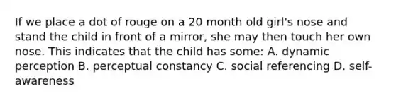 If we place a dot of rouge on a 20 month old girl's nose and stand the child in front of a mirror, she may then touch her own nose. This indicates that the child has some: A. dynamic perception B. perceptual constancy C. social referencing D. self-awareness