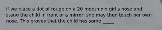 If we place a dot of rouge on a 20 month old girl's nose and stand the child in front of a mirror, she may then touch her own nose. This proves that the child has some _____