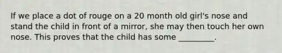 If we place a dot of rouge on a 20 month old girl's nose and stand the child in front of a mirror, she may then touch her own nose. This proves that the child has some _________.