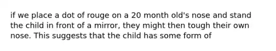 if we place a dot of rouge on a 20 month old's nose and stand the child in front of a mirror, they might then tough their own nose. This suggests that the child has some form of