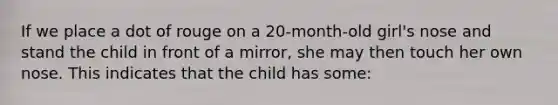 If we place a dot of rouge on a 20-month-old girl's nose and stand the child in front of a mirror, she may then touch her own nose. This indicates that the child has some: