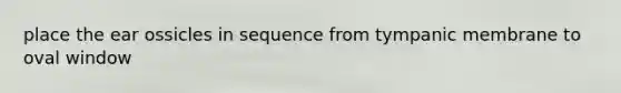 place the ear ossicles in sequence from tympanic membrane to oval window