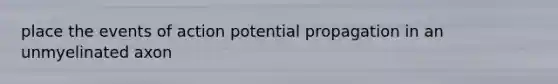 place the events of action potential propagation in an unmyelinated axon