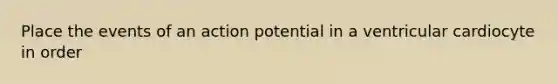 Place the events of an action potential in a ventricular cardiocyte in order