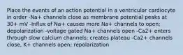 Place the events of an action potential in a ventricular cardiocyte in order -Na+ channels close as membrane potential peaks at 30+ mV -Influx of Na+ causes more Na+ channels to open; depolarization -voltage gated Na+ channels open -Ca2+ enters through slow calcium channels; creates plateau -Ca2+ channels close, K+ channels open; repolarization