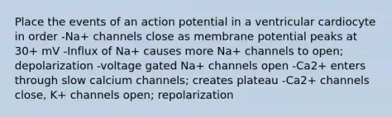 Place the events of an action potential in a ventricular cardiocyte in order -Na+ channels close as membrane potential peaks at 30+ mV -Influx of Na+ causes more Na+ channels to open; depolarization -voltage gated Na+ channels open -Ca2+ enters through slow calcium channels; creates plateau -Ca2+ channels close, K+ channels open; repolarization