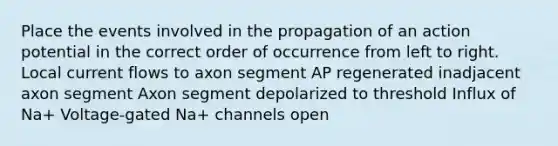 Place the events involved in the propagation of an action potential in the correct order of occurrence from left to right. Local current flows to axon segment AP regenerated inadjacent axon segment Axon segment depolarized to threshold Influx of Na+ Voltage-gated Na+ channels open