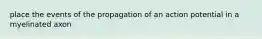 place the events of the propagation of an action potential in a myelinated axon