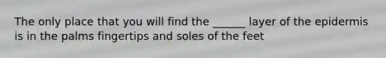 The only place that you will find the ______ layer of the epidermis is in the palms fingertips and soles of the feet