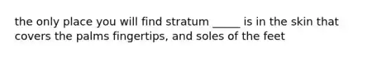 the only place you will find stratum _____ is in the skin that covers the palms fingertips, and soles of the feet