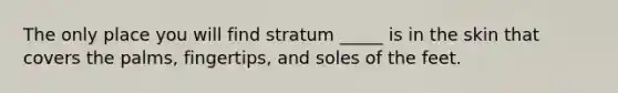 The only place you will find stratum _____ is in the skin that covers the palms, fingertips, and soles of the feet.