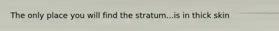 The only place you will find the stratum...is in thick skin