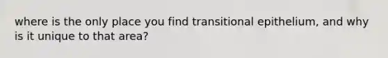 where is the only place you find transitional epithelium, and why is it unique to that area?