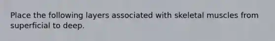 Place the following layers associated with skeletal muscles from superficial to deep.