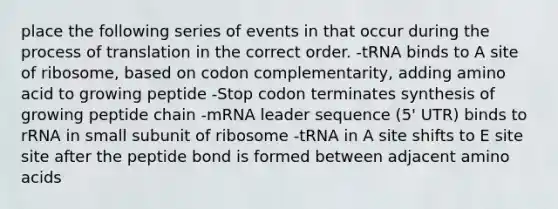 place the following series of events in that occur during the process of translation in the correct order. -tRNA binds to A site of ribosome, based on codon complementarity, adding amino acid to growing peptide -Stop codon terminates synthesis of growing peptide chain -mRNA leader sequence (5' UTR) binds to rRNA in small subunit of ribosome -tRNA in A site shifts to E site site after the peptide bond is formed between adjacent amino acids