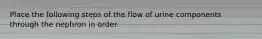 Place the following steps of the flow of urine components through the nephron in order.