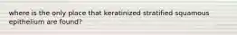 where is the only place that keratinized stratified squamous epithelium are found?