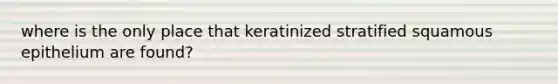 where is the only place that keratinized stratified squamous epithelium are found?