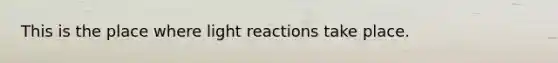 This is the place where <a href='https://www.questionai.com/knowledge/kSUoWrrvoC-light-reactions' class='anchor-knowledge'>light reactions</a> take place.