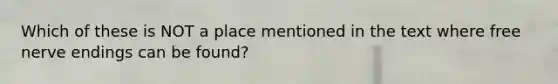 Which of these is NOT a place mentioned in the text where free nerve endings can be found?