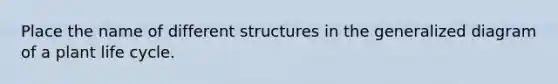 Place the name of different structures in the generalized diagram of a plant life cycle.