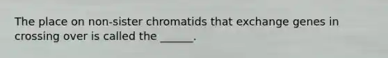 The place on non-sister chromatids that exchange genes in crossing over is called the ______.