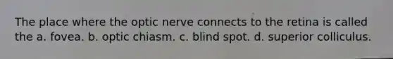 The place where the optic nerve connects to the retina is called the a. fovea. b. optic chiasm. c. blind spot. d. superior colliculus.