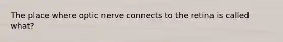 The place where optic nerve connects to the retina is called what?