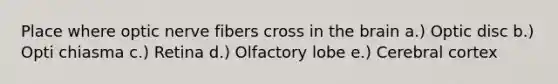 Place where optic nerve fibers cross in the brain a.) Optic disc b.) Opti chiasma c.) Retina d.) Olfactory lobe e.) Cerebral cortex