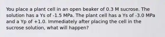 You place a plant cell in an open beaker of 0.3 M sucrose. The solution has a Ys of -1.5 MPa. The plant cell has a Ys of -3.0 MPa and a Yp of +1.0. Immediately after placing the cell in the sucrose solution, what will happen?