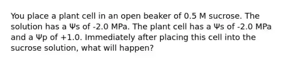 You place a plant cell in an open beaker of 0.5 M sucrose. The solution has a Ψs of -2.0 MPa. The plant cell has a Ψs of -2.0 MPa and a Ψp of +1.0. Immediately after placing this cell into the sucrose solution, what will happen?