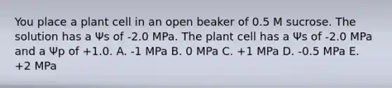 You place a plant cell in an open beaker of 0.5 M sucrose. The solution has a Ψs of -2.0 MPa. The plant cell has a Ψs of -2.0 MPa and a Ψp of +1.0. A. -1 MPa B. 0 MPa C. +1 MPa D. -0.5 MPa E. +2 MPa