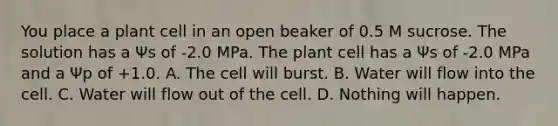 You place a plant cell in an open beaker of 0.5 M sucrose. The solution has a Ψs of -2.0 MPa. The plant cell has a Ψs of -2.0 MPa and a Ψp of +1.0. A. The cell will burst. B. Water will flow into the cell. C. Water will flow out of the cell. D. Nothing will happen.