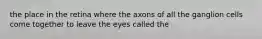 the place in the retina where the axons of all the ganglion cells come together to leave the eyes called the