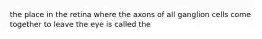 the place in the retina where the axons of all ganglion cells come together to leave the eye is called the