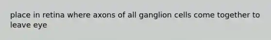 place in retina where axons of all ganglion cells come together to leave eye
