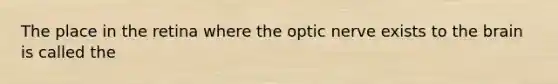 The place in the retina where the optic nerve exists to the brain is called the