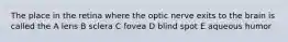 The place in the retina where the optic nerve exits to the brain is called the A lens B sclera C fovea D blind spot E aqueous humor