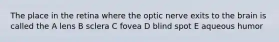 The place in the retina where the optic nerve exits to the brain is called the A lens B sclera C fovea D blind spot E aqueous humor