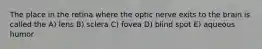 The place in the retina where the optic nerve exits to the brain is called the A) lens B) sclera C) fovea D) blind spot E) aqueous humor