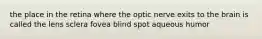 the place in the retina where the optic nerve exits to the brain is called the lens sclera fovea blind spot aqueous humor