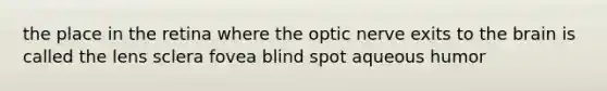 the place in the retina where the optic nerve exits to the brain is called the lens sclera fovea blind spot aqueous humor