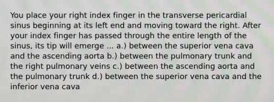 You place your right index finger in the transverse pericardial sinus beginning at its left end and moving toward the right. After your index finger has passed through the entire length of the sinus, its tip will emerge ... a.) between the superior vena cava and the ascending aorta b.) between the pulmonary trunk and the right pulmonary veins c.) between the ascending aorta and the pulmonary trunk d.) between the superior vena cava and the inferior vena cava